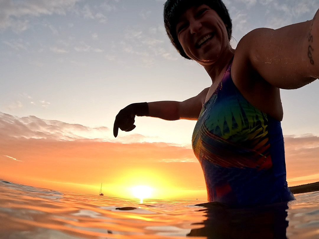 The Wild Swimming Co.-Studland必去景点