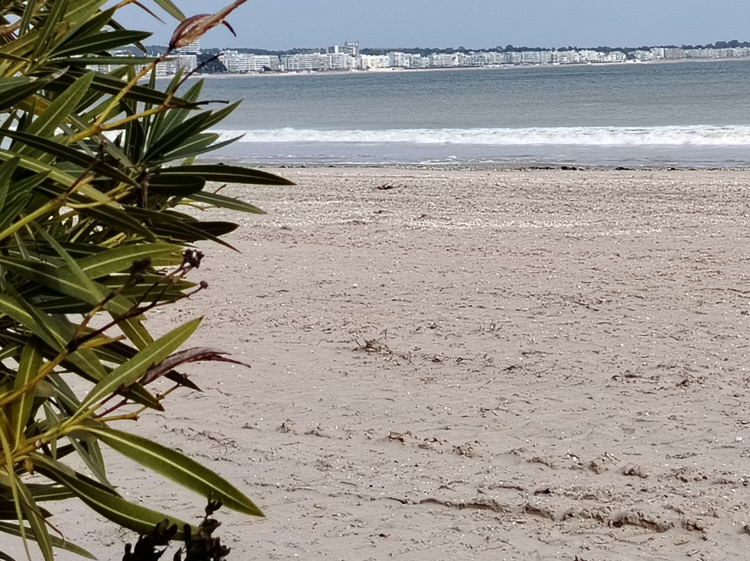 Esplanade Benoît-拉博尔埃斯库布拉克必去景点