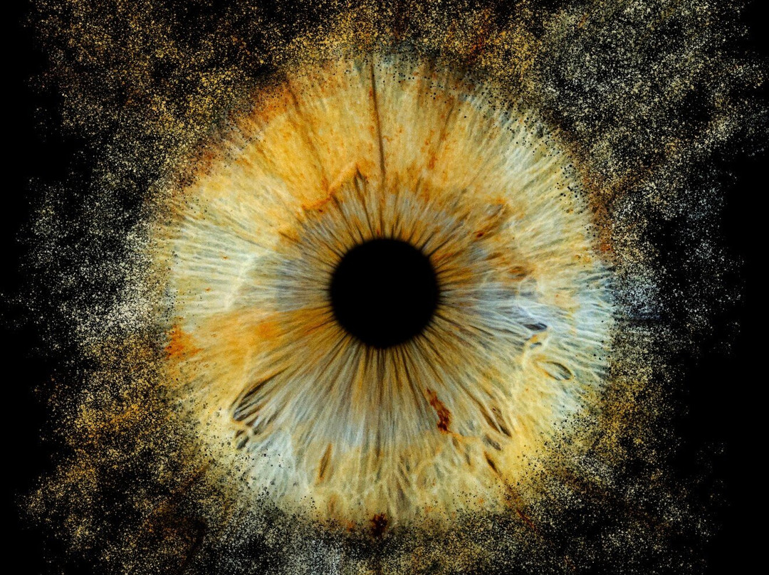 Iris Galerie Gent-根特必去景点