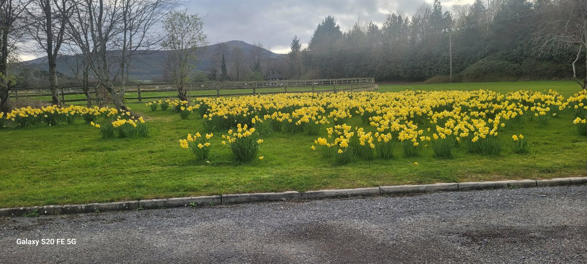 鲍尔斯考特温泉健康农家乐-度假村/酒店