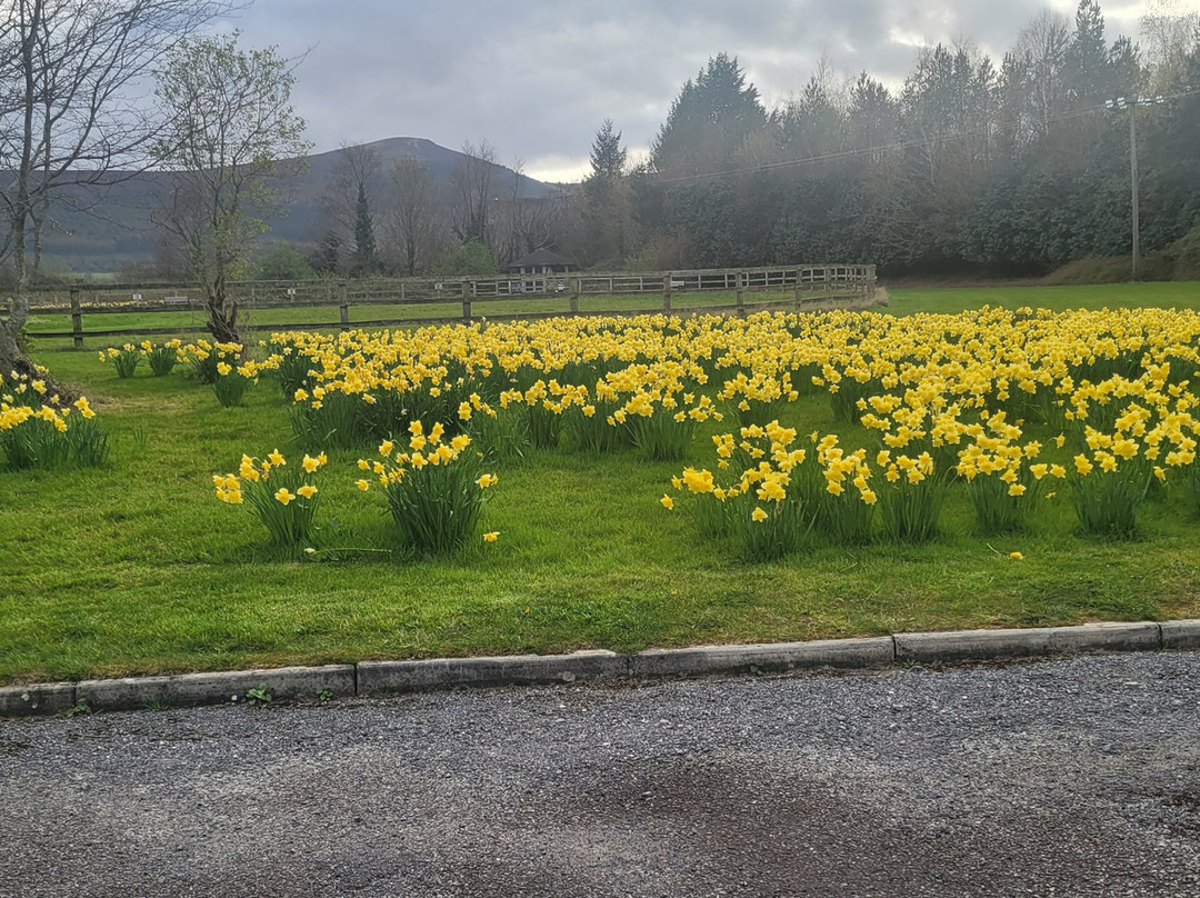 鲍尔斯考特温泉健康农家乐主图