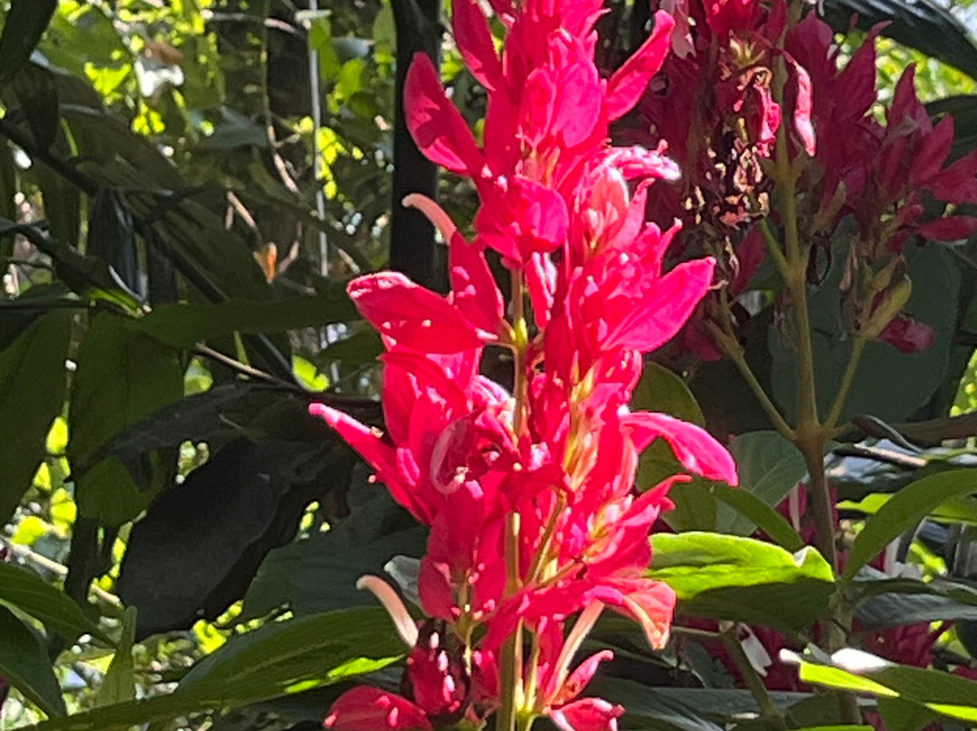 Paradise Island Safari-Gampola必去景点