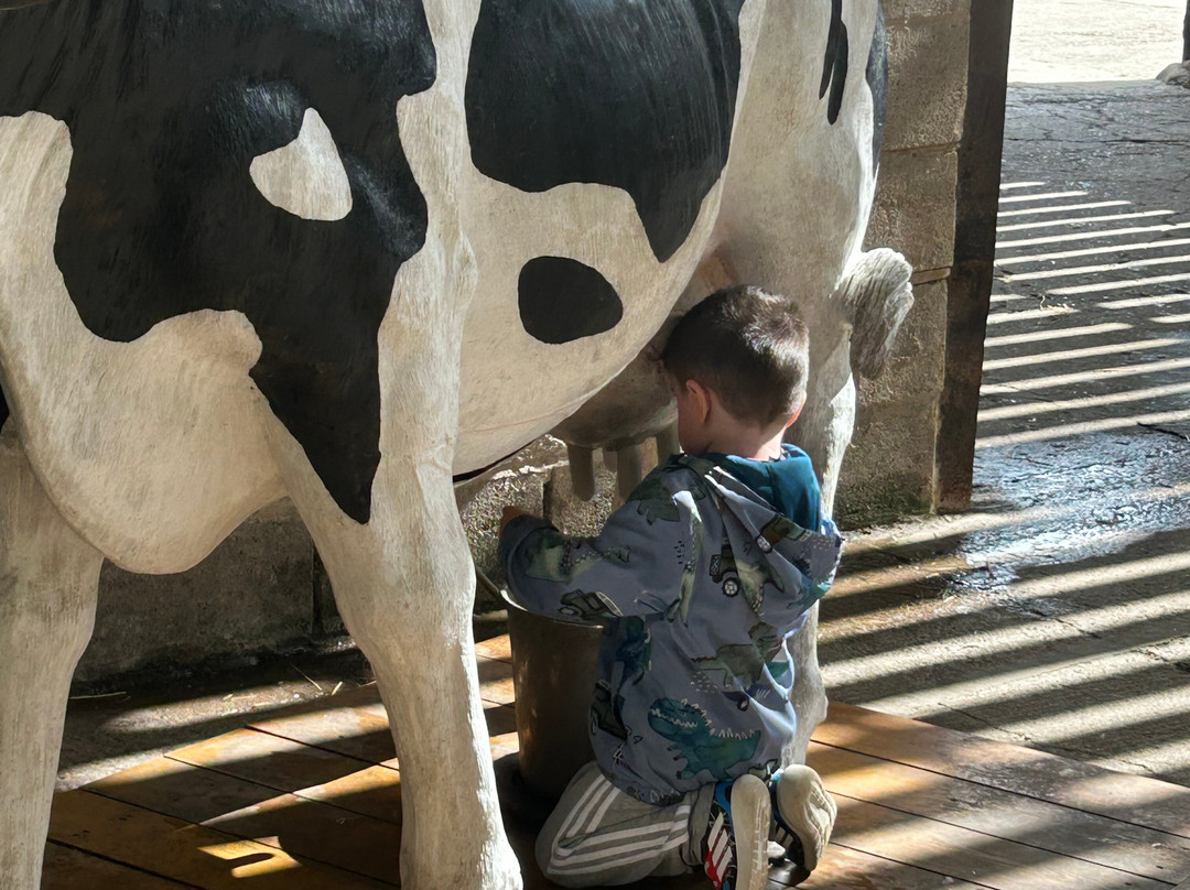 Playdale Farm Park-斯卡伯勒必去景点