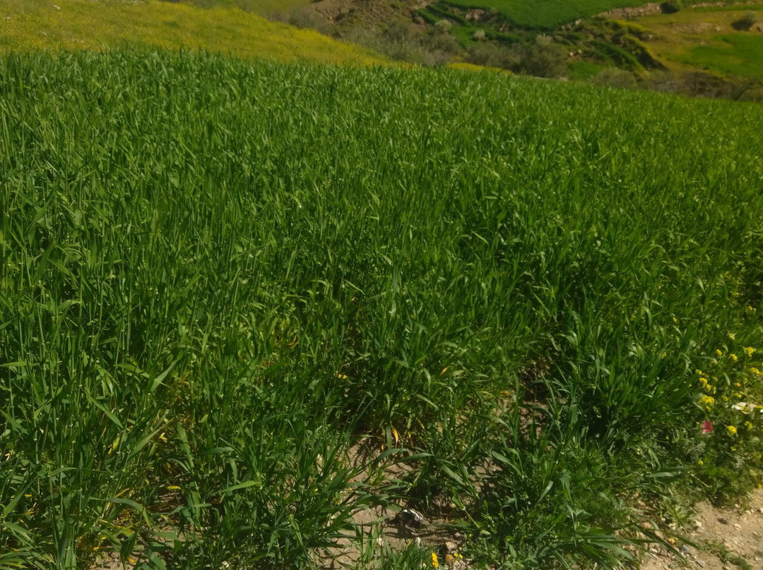 Amizmiz Trekking - Day Tours-Amizmiz必去景点