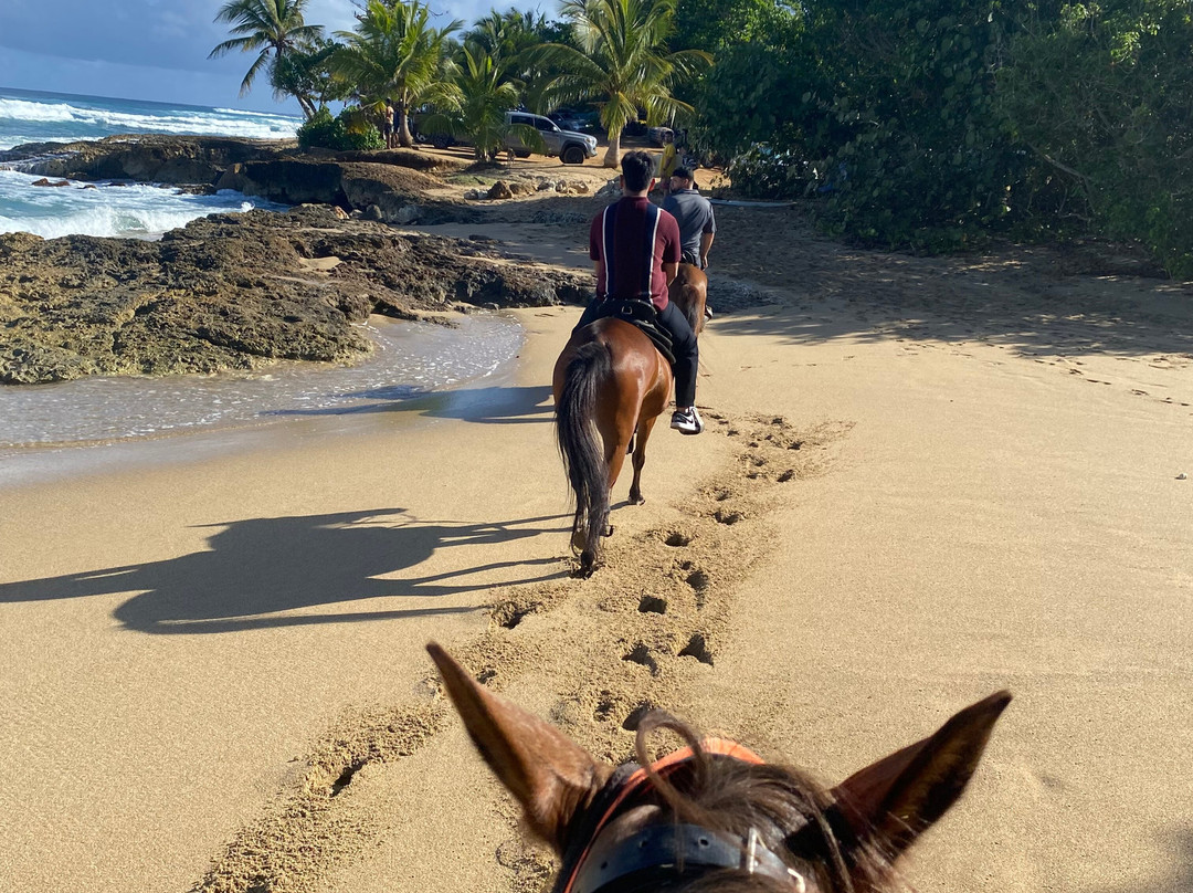 Playuelas Horse Rides-Aguadilla必去景点