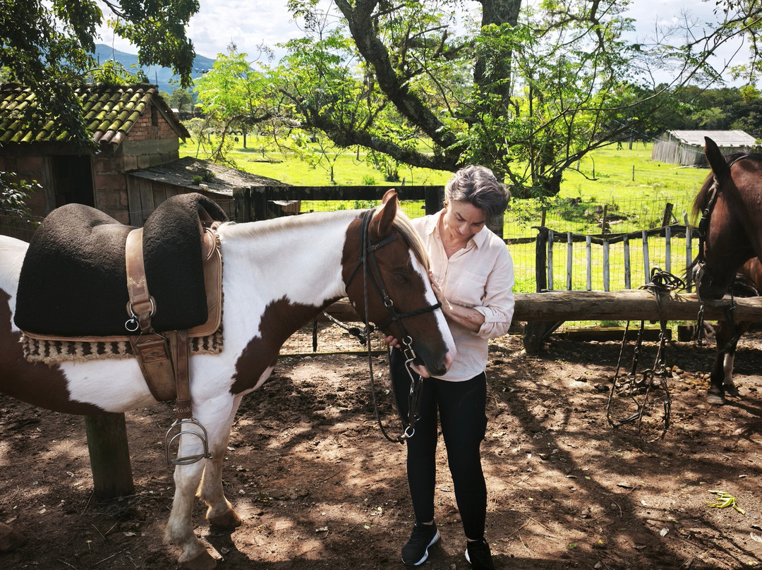 Eco Canyons-Praia Grande必去景点