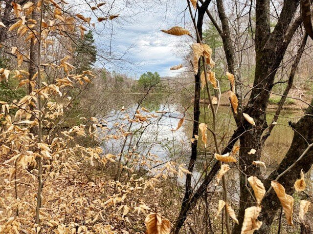 Ivy Creek Natural Area-夏洛茨维尔必去景点