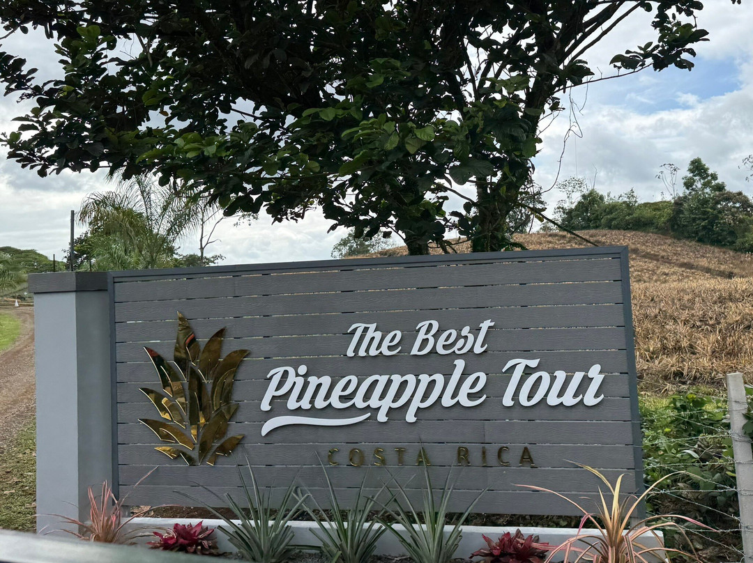 The Best Pineapple Tour Costa Rica-Rio Cuarto必去景点