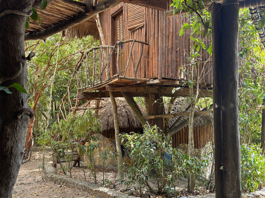 岛桑科图阿里亚树屋酒店主图