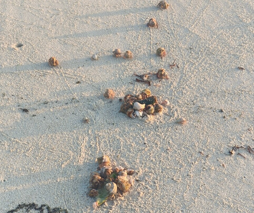 瓦沙法陆旅馆主图