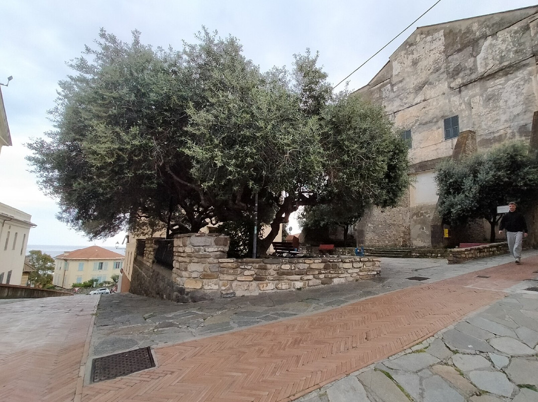 Gira Parasio-因佩里亚必去景点