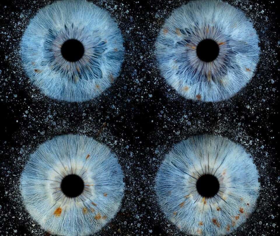 Iris Galerie Groningen-格罗宁根省必去景点