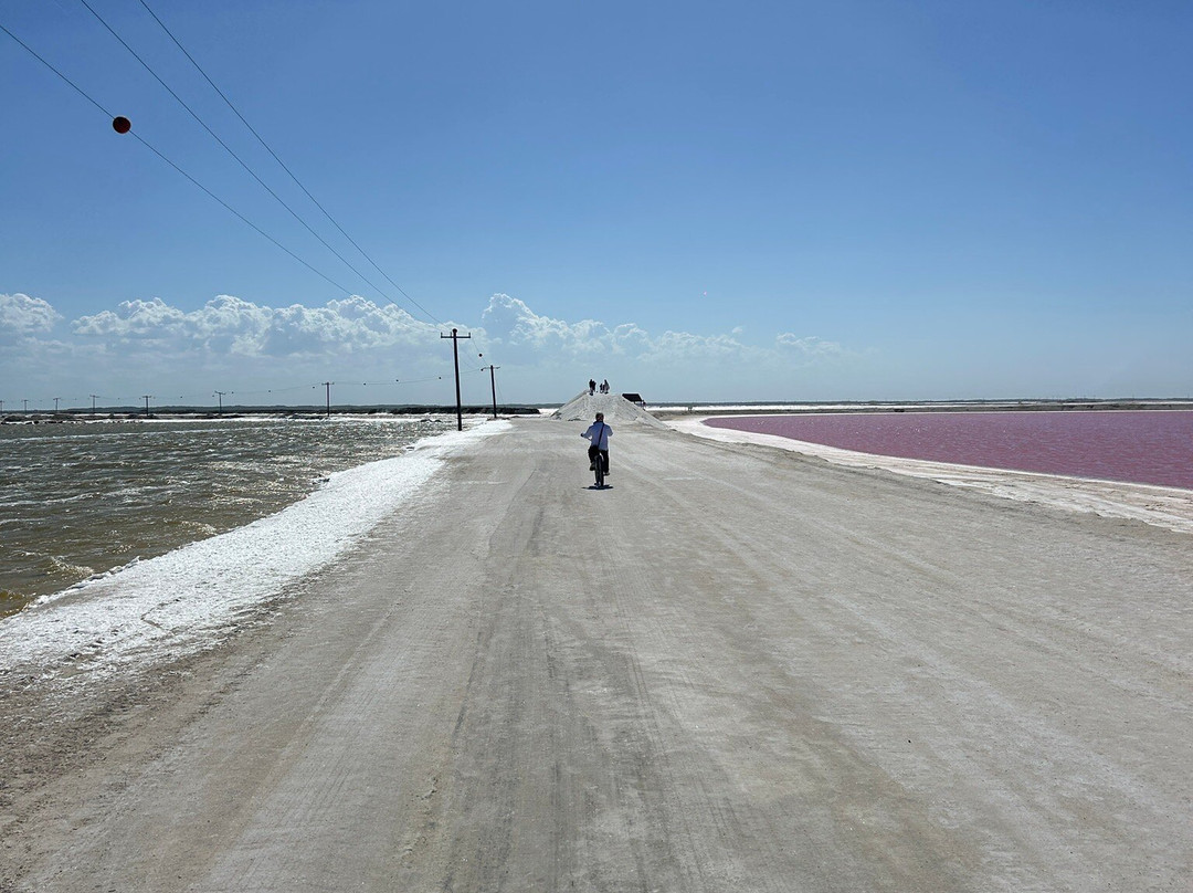 Las Coloradas-里奥拉加托斯必去景点