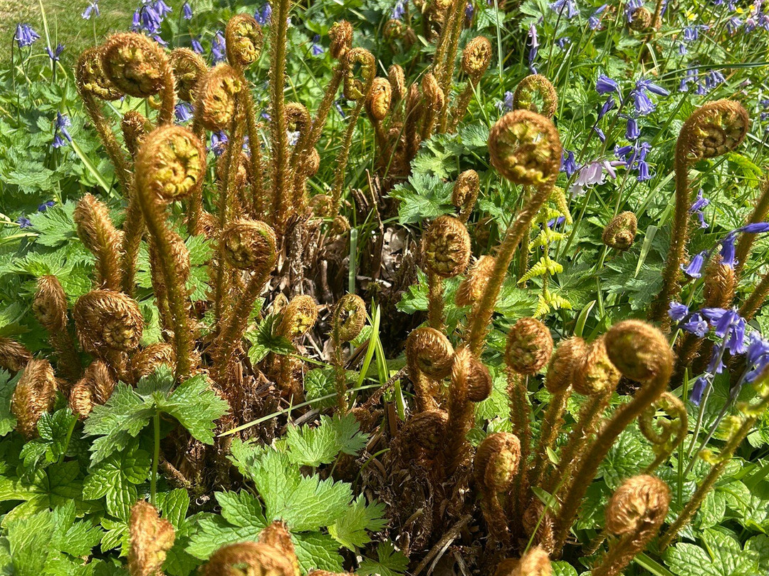 Great Comp Garden-Platt必去景点