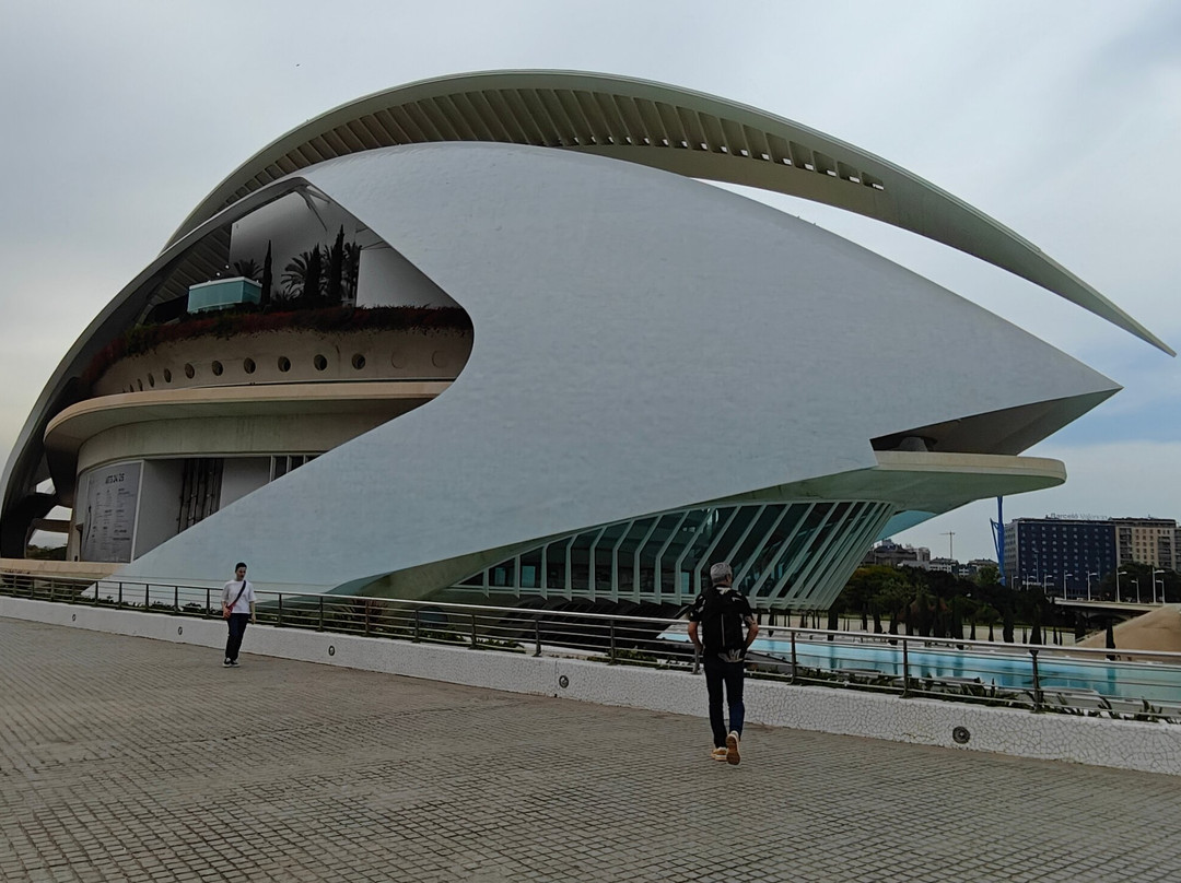 Metro de Valencia (El)-巴伦西亚必去景点