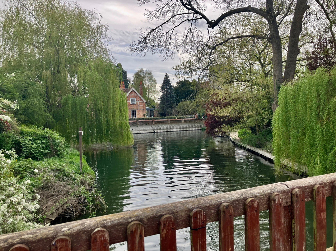 GG Wildlife Experiences Ltd-Goring-on Thames必去景点