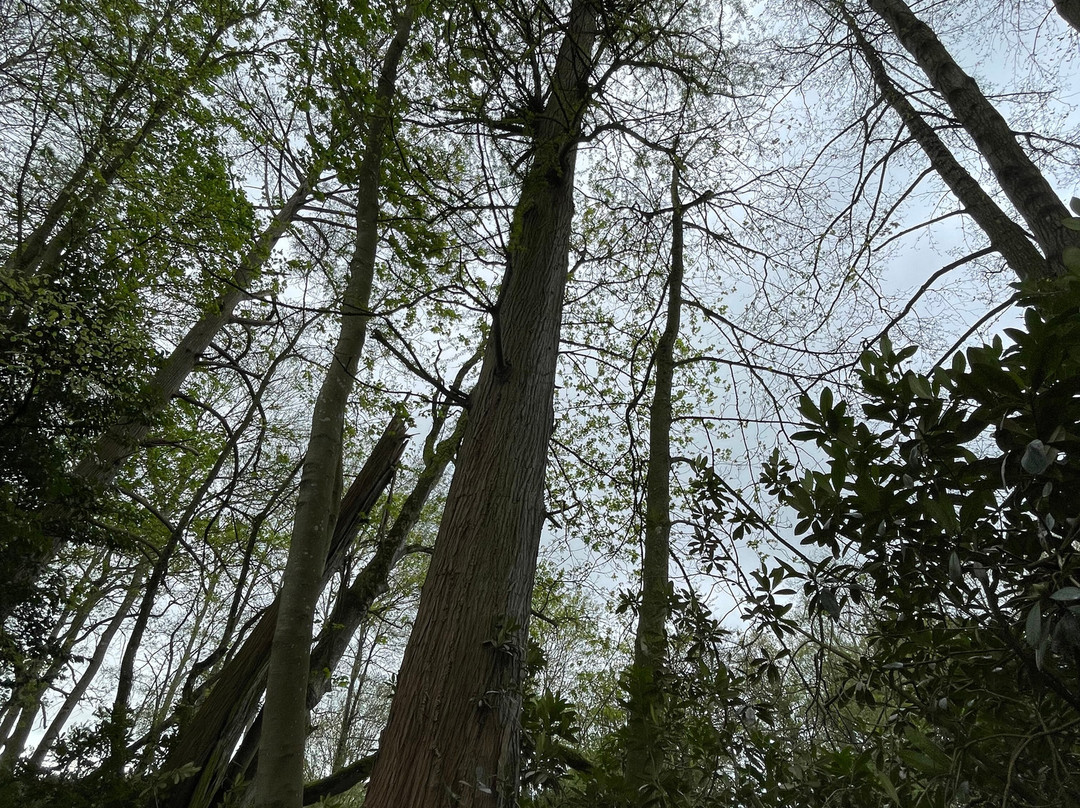查托尔城堡住宿加早餐旅馆主图