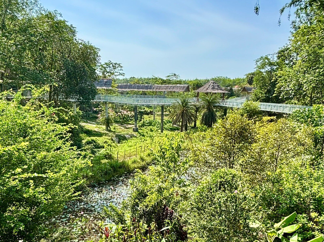 Phuket Elephant Sanctuary-普吉岛必去景点