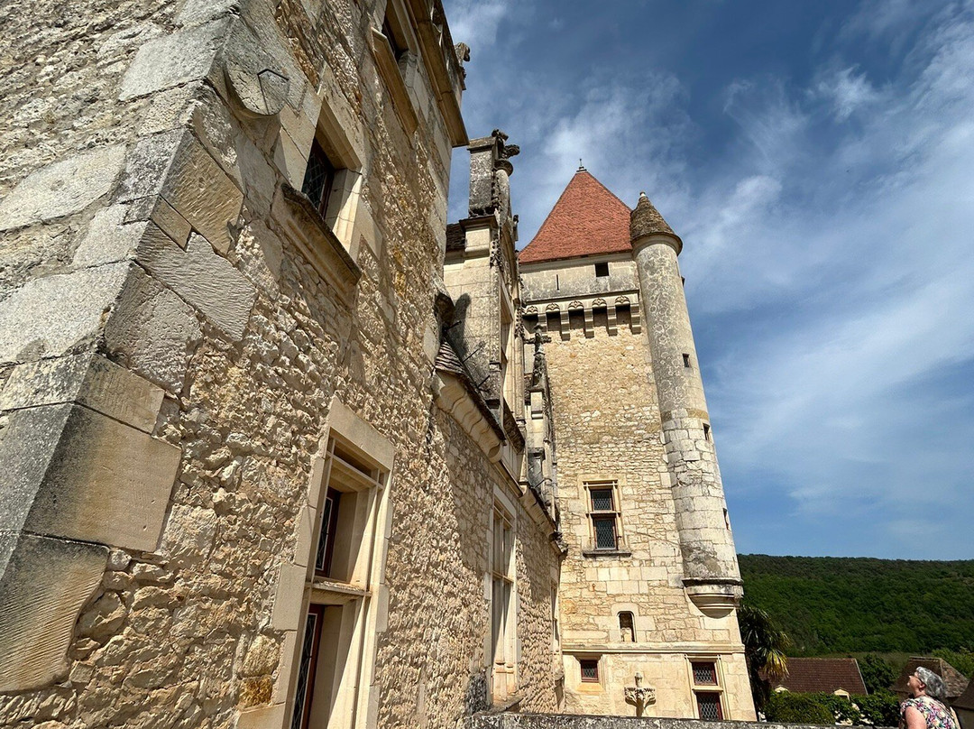 Château des Milandes-Castelnaud-la-Chapelle必去景点