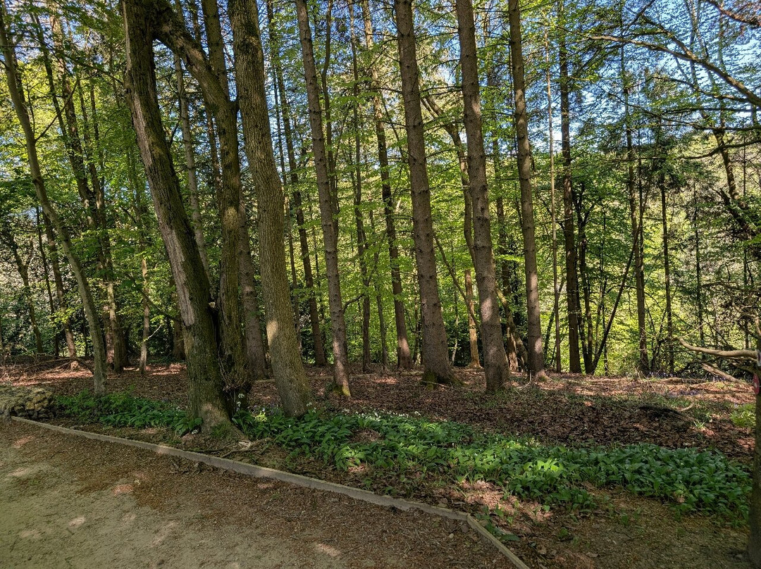 Woodchester Park-斯特劳德必去景点