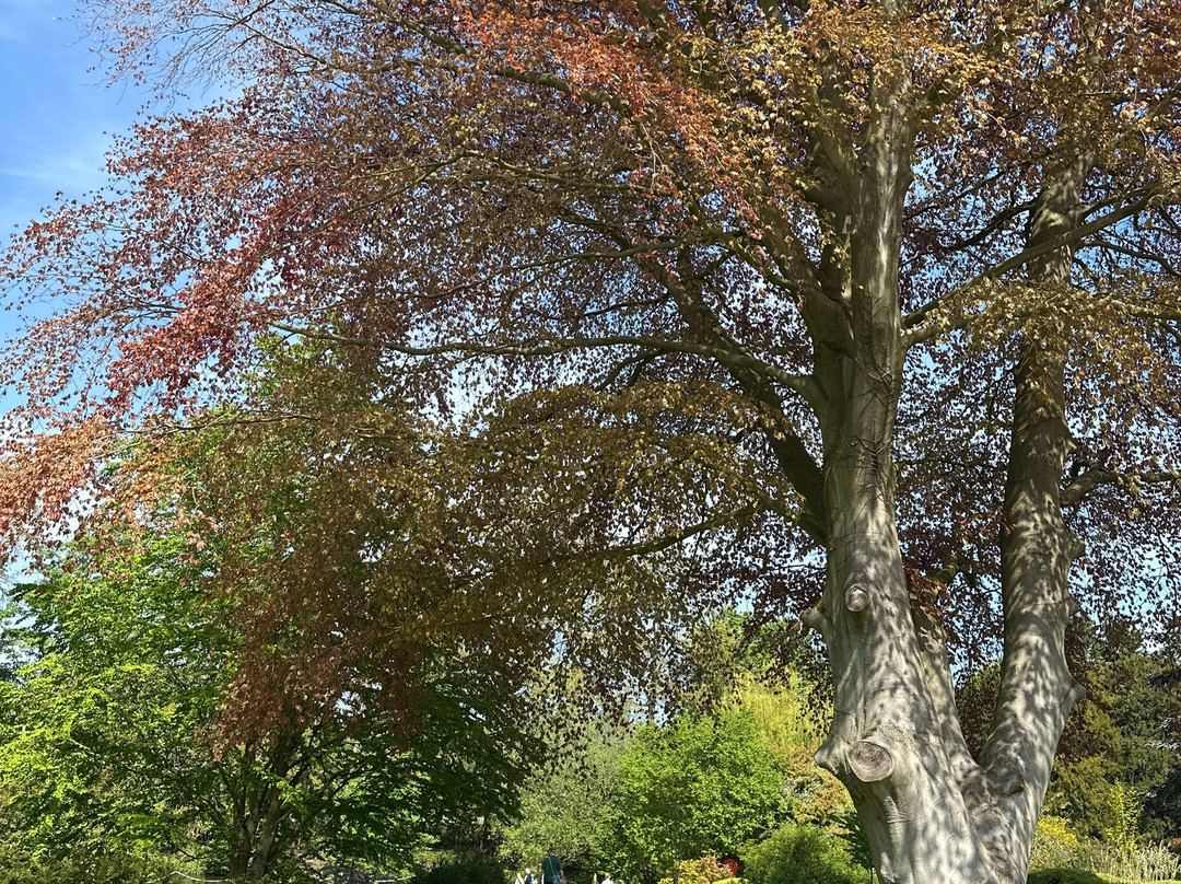 Elsham Hall Gardens and Country Park-Brigg必去景点