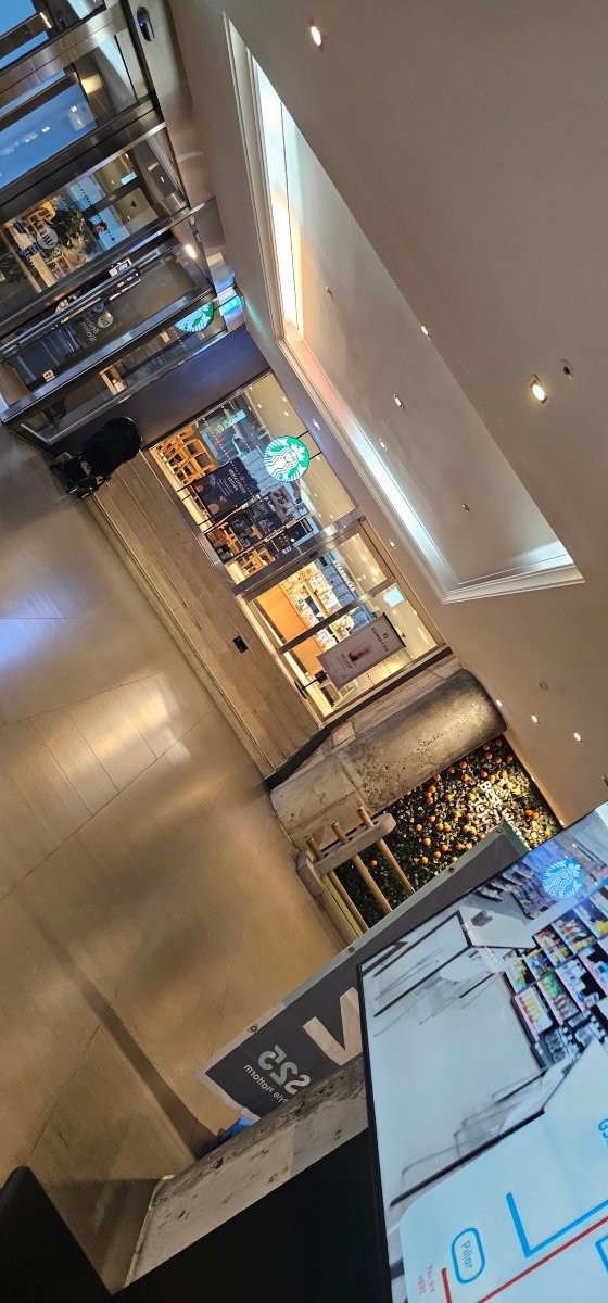 济州贝斯特韦斯特酒店-旅行者