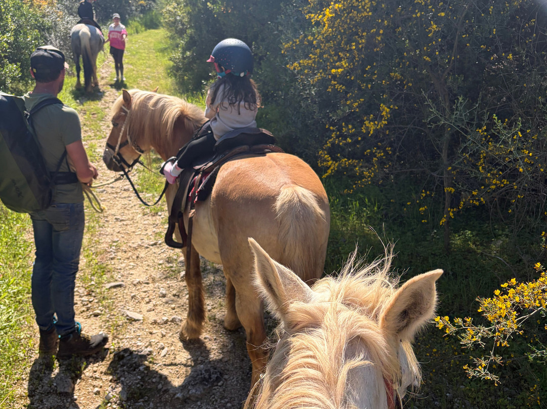 North Corfu Horses-Peritheia必去景点