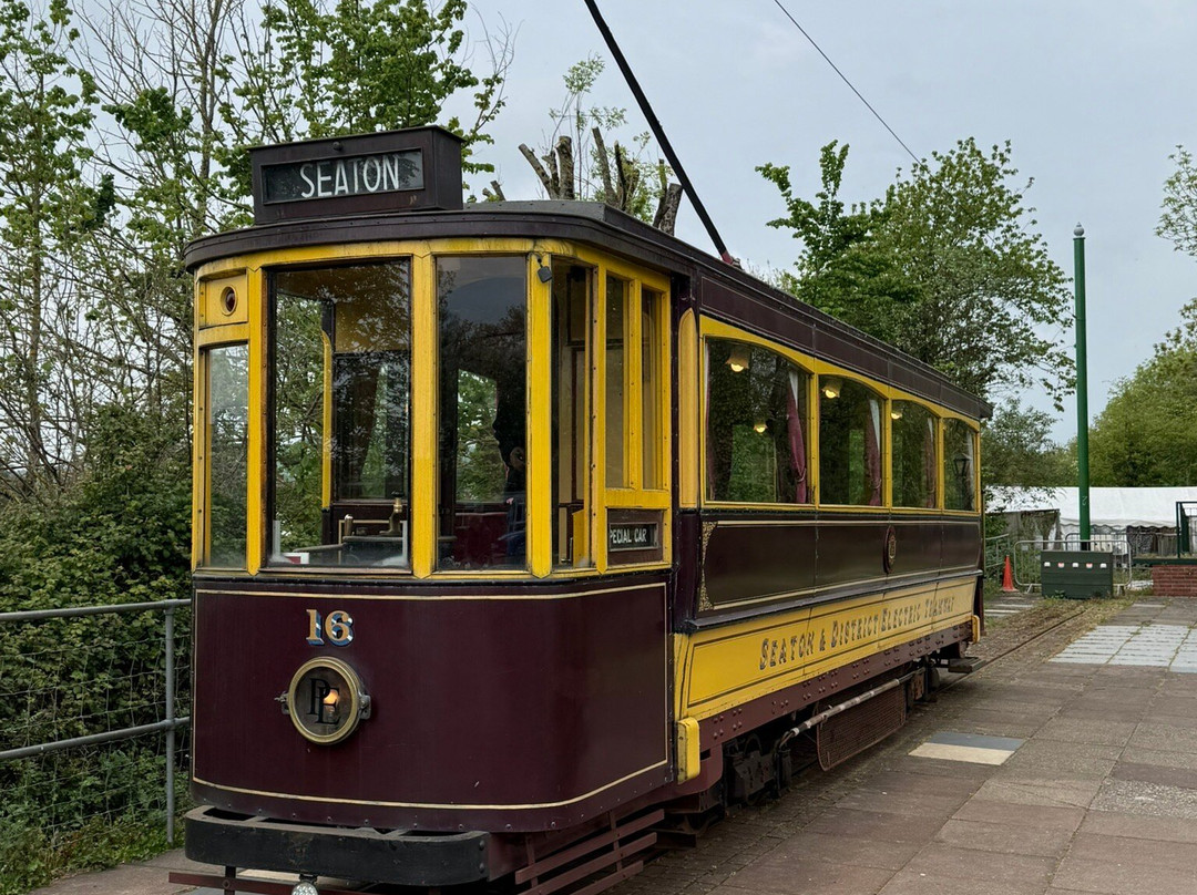 Seaton Tramway-Seaton必去景点
