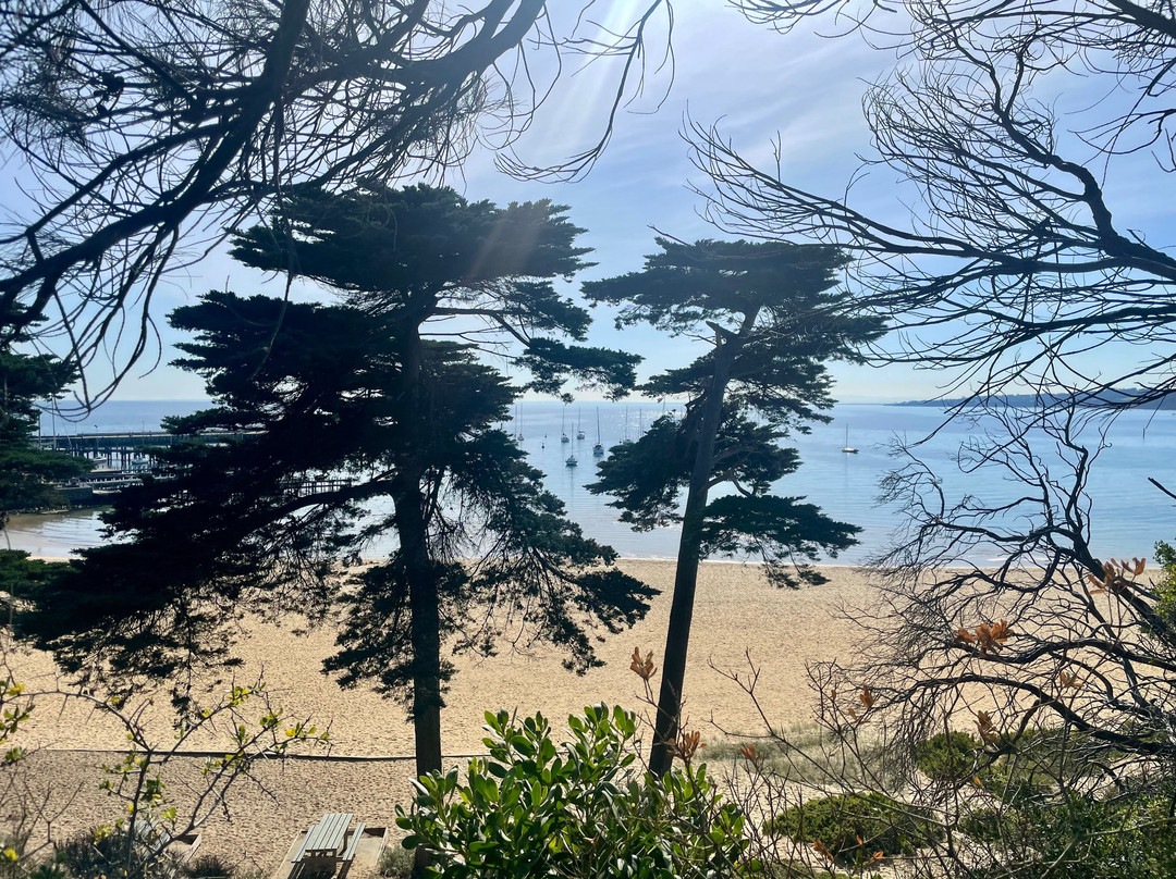 Mothers Beach-莫宁顿必去景点