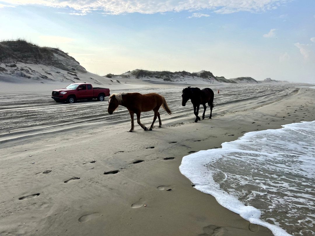 Currituck Beach-卡罗拉必去景点