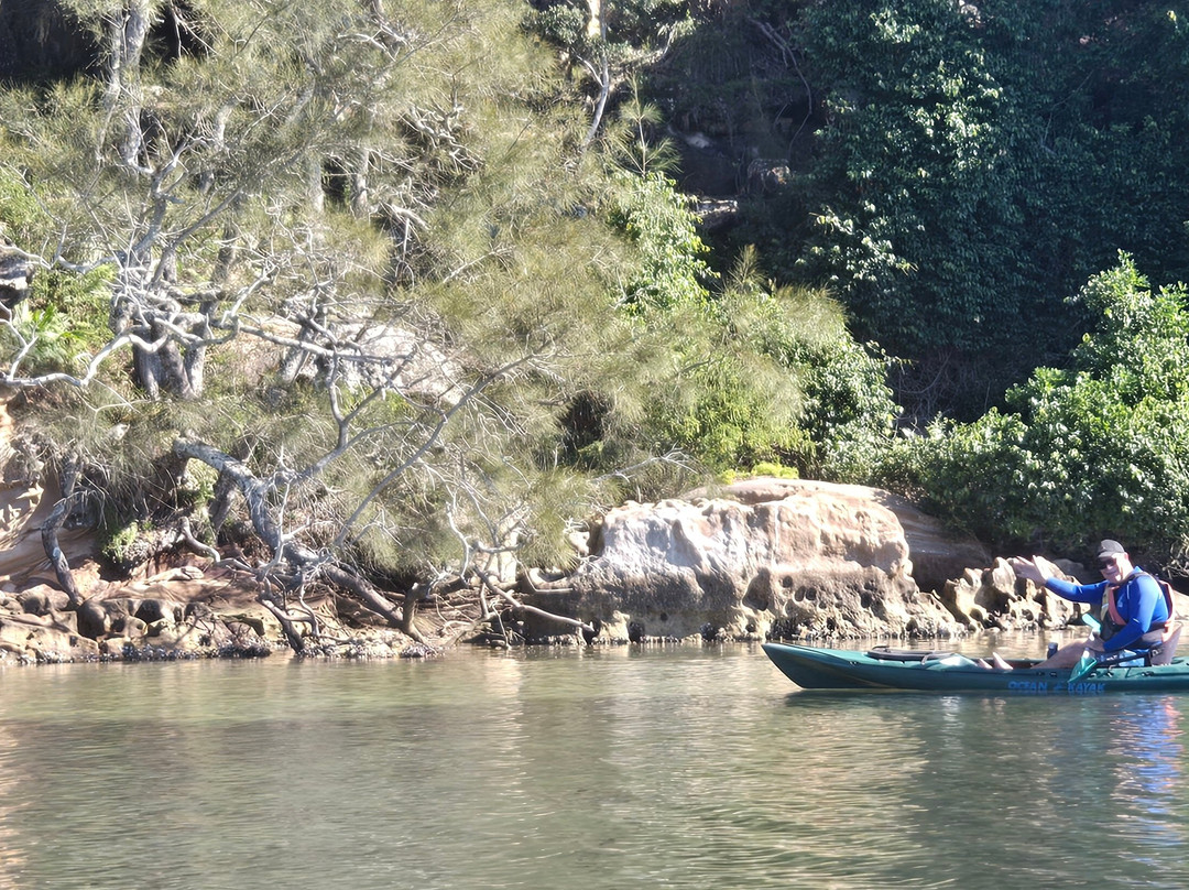 Bundeena Kayaks in Sydney-Bundeena必去景点