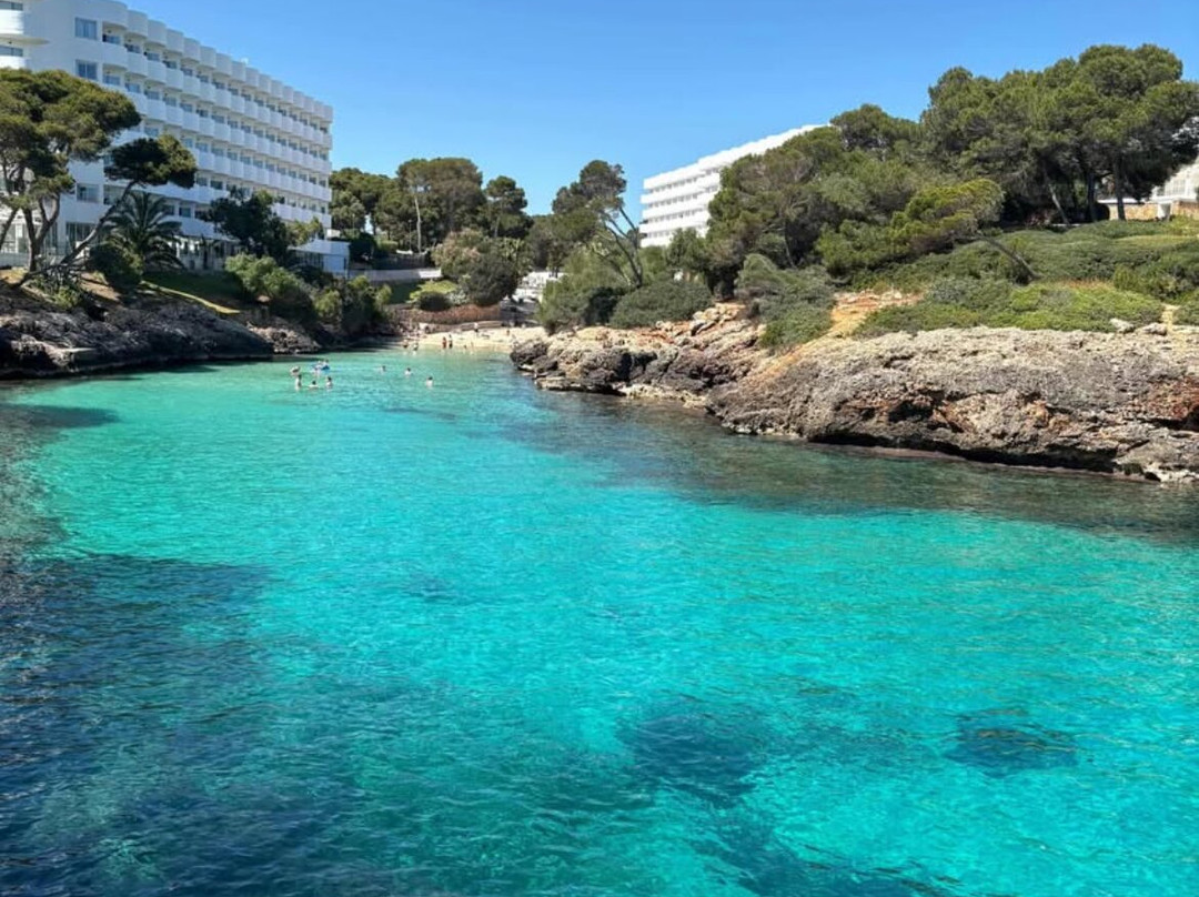 AluaSoul Mallorca Resort - Adults Only主图