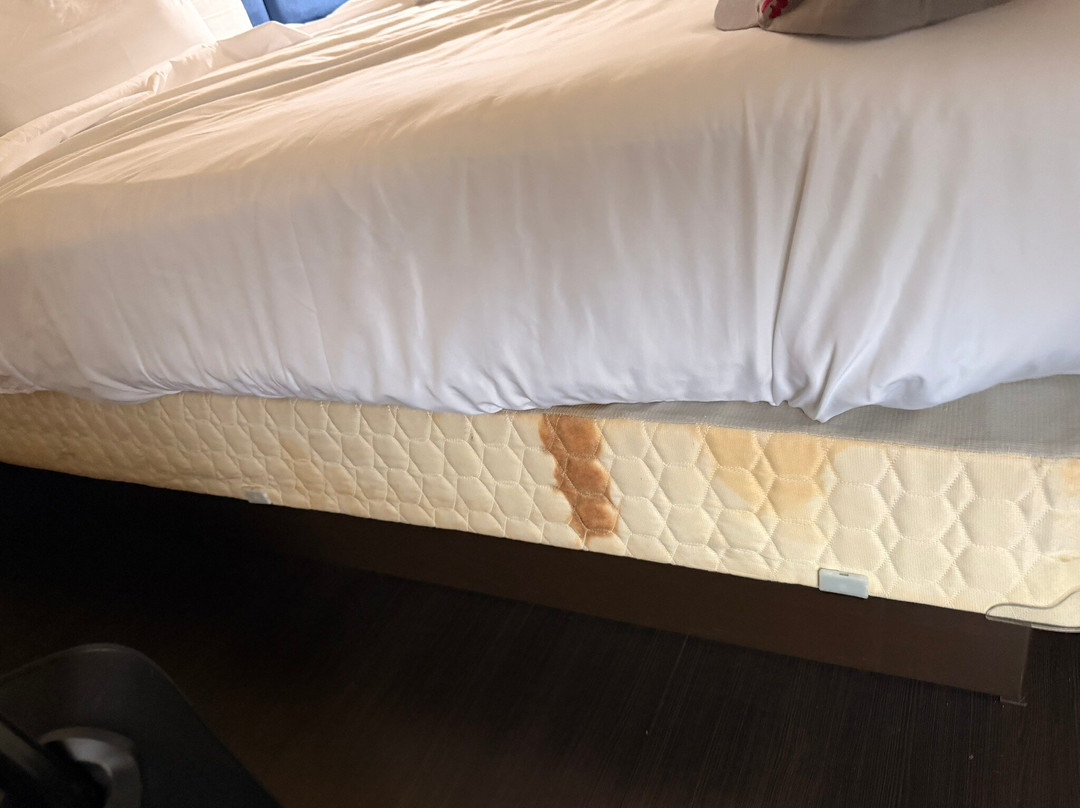 阿拉巴马州伯明翰的汉密尔顿旅馆主图