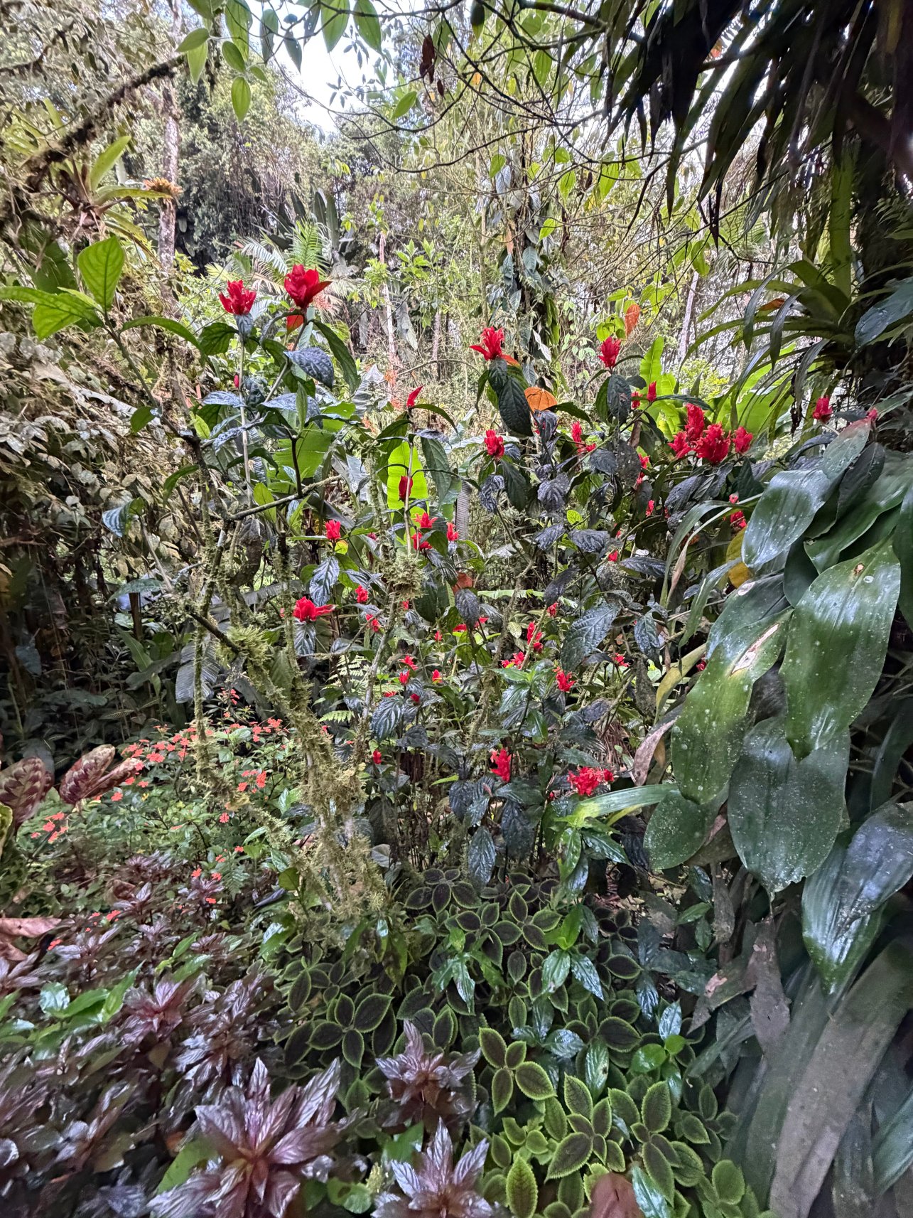 迪威那之家生态郊外小屋-旅行者