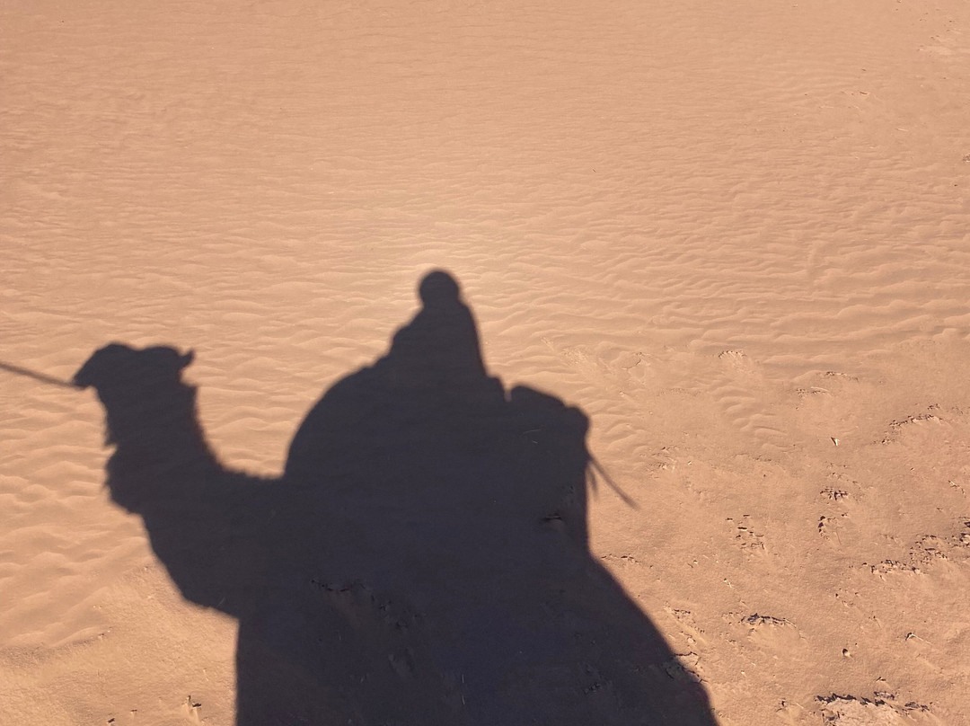 Desert Maroc Tours - Day Tours-扎古拉必去景点