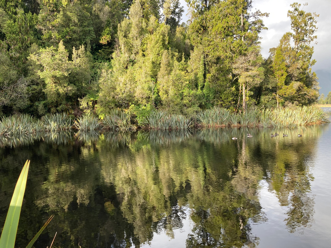 马瑟森湖-福克斯冰川必去景点