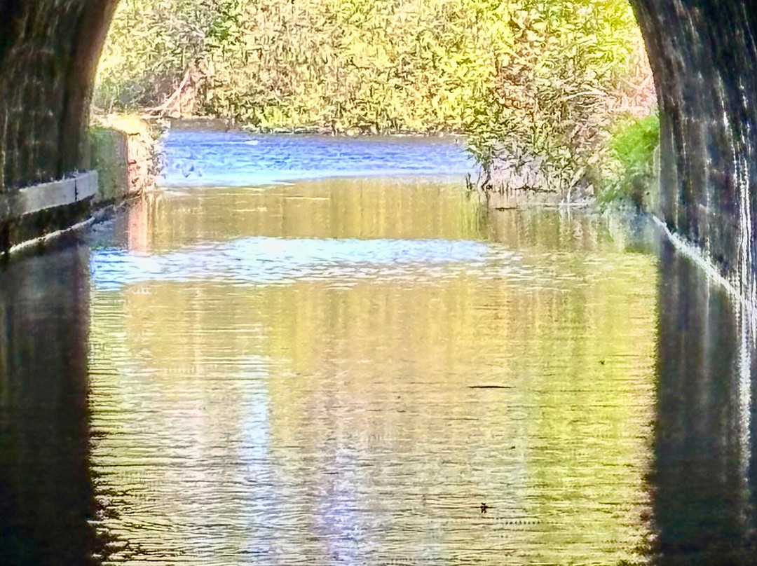 Reedley Boat Hire-伯恩利必去景点