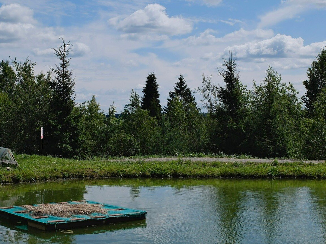 Russian Alpaca Farm-Pokhodkino必去景点