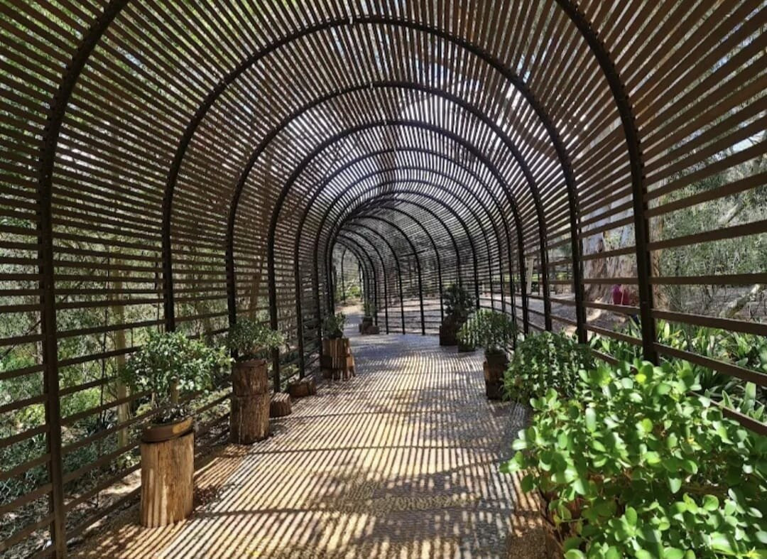 Babylonstoren-帕尔必去景点