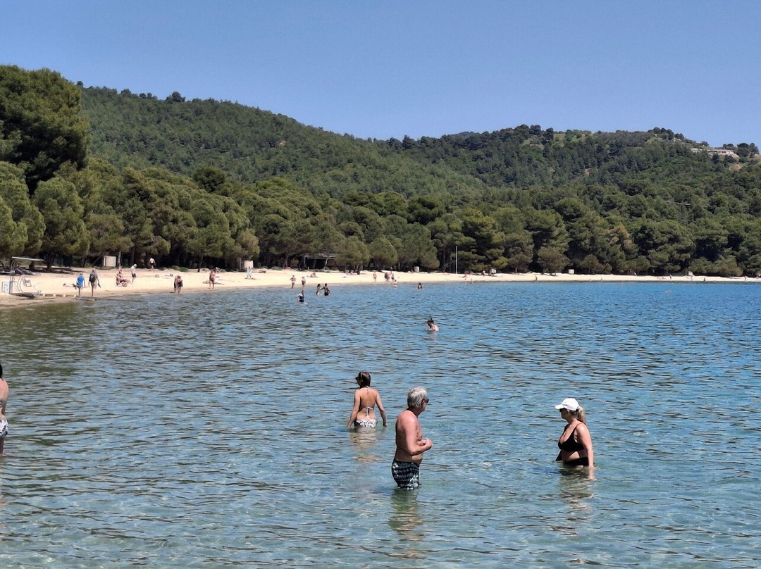 Koukounaries Beach-Koukounaries必去景点
