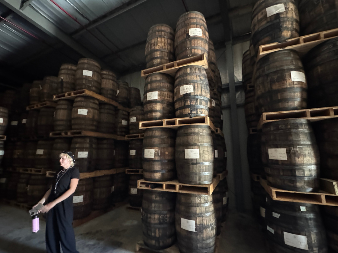 San Juan Artisan Distillers-Vega Alta必去景点