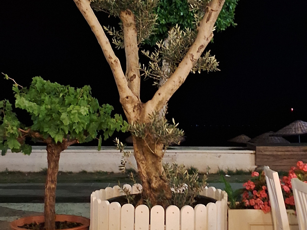 Ju Restaurant Fethiye