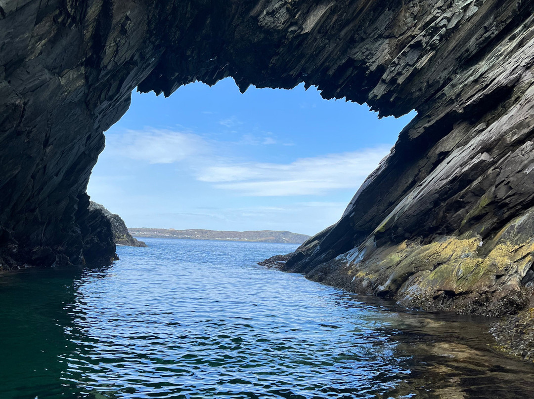 Old Salty Dog Excursions-Bay Roberts必去景点