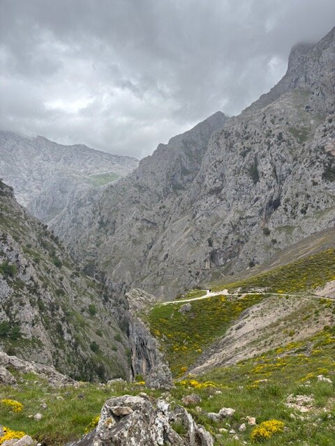 Rumbo a Picos-利亚内斯必去景点