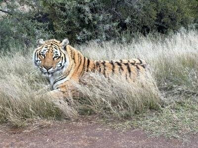 Kishindo Conservation Reserve-Philippolis必去景点