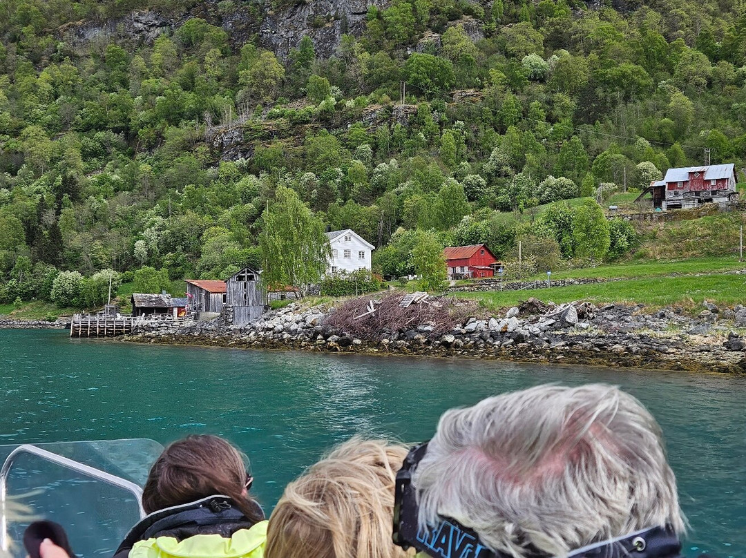 Adventure Tours Norway-Skjolden必去景点