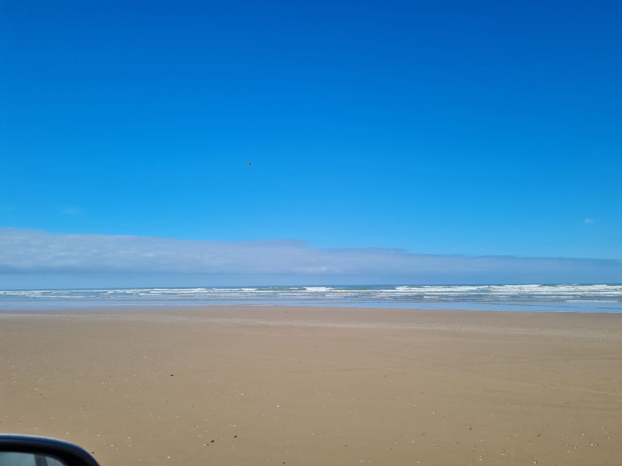 Logis la Marine-旅行者