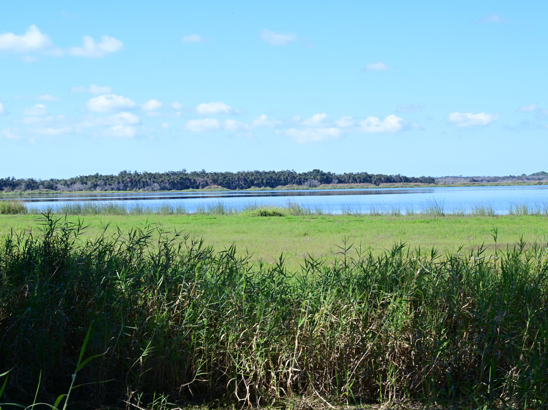 Myakka River State Park-萨拉索塔必去景点