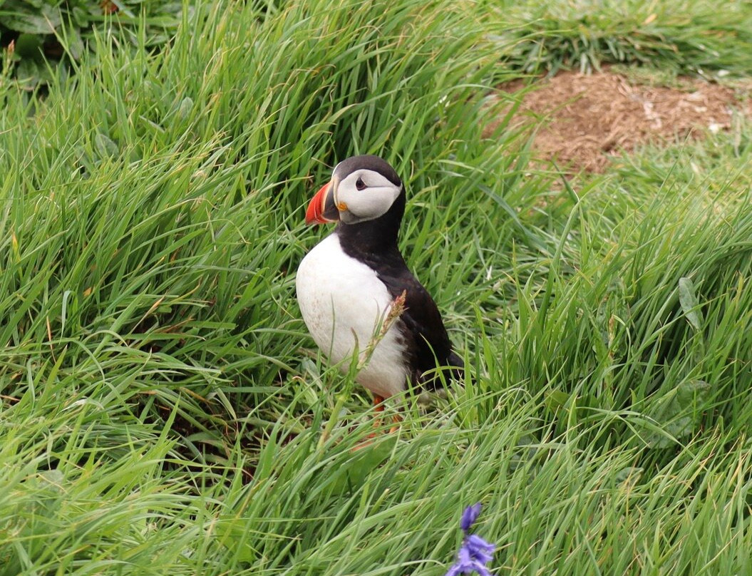 Isle of Lunga-The Hebrides必去景点