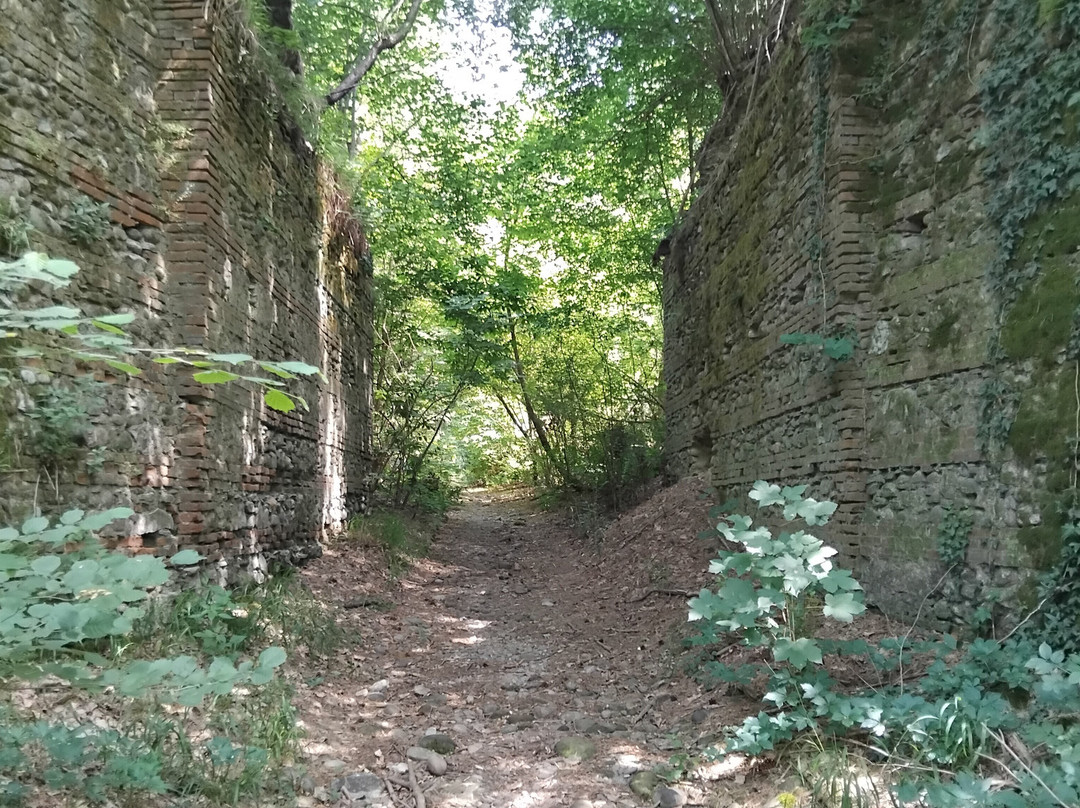 Grande Anello Verde Sommese - Gavs - Parco del Ticino-Somma Lombardo必去景点